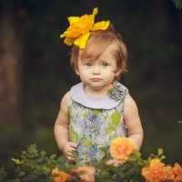 ������� � �������� ��������