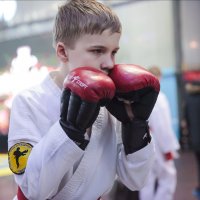15 ������� 2013 ������ �������� ���������� �������������� ������ �� ����������� ���